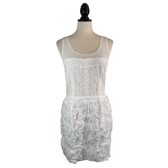 RACHEL Rachel Roy Dresses & Skirts - Rachel Roy Dress White Sheer Zipper Rosette, Size 6